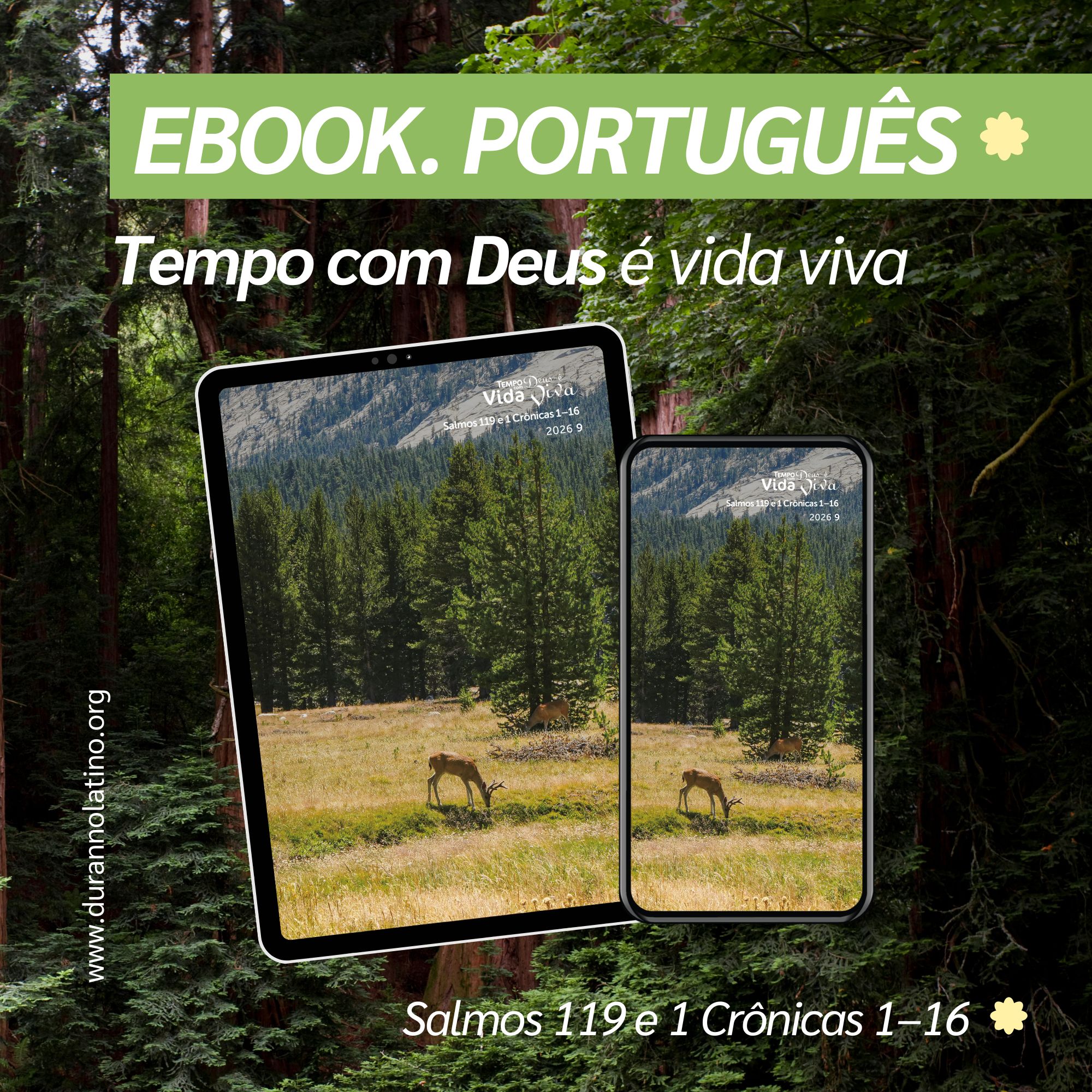 TcD Setembro EBOOK Portugués