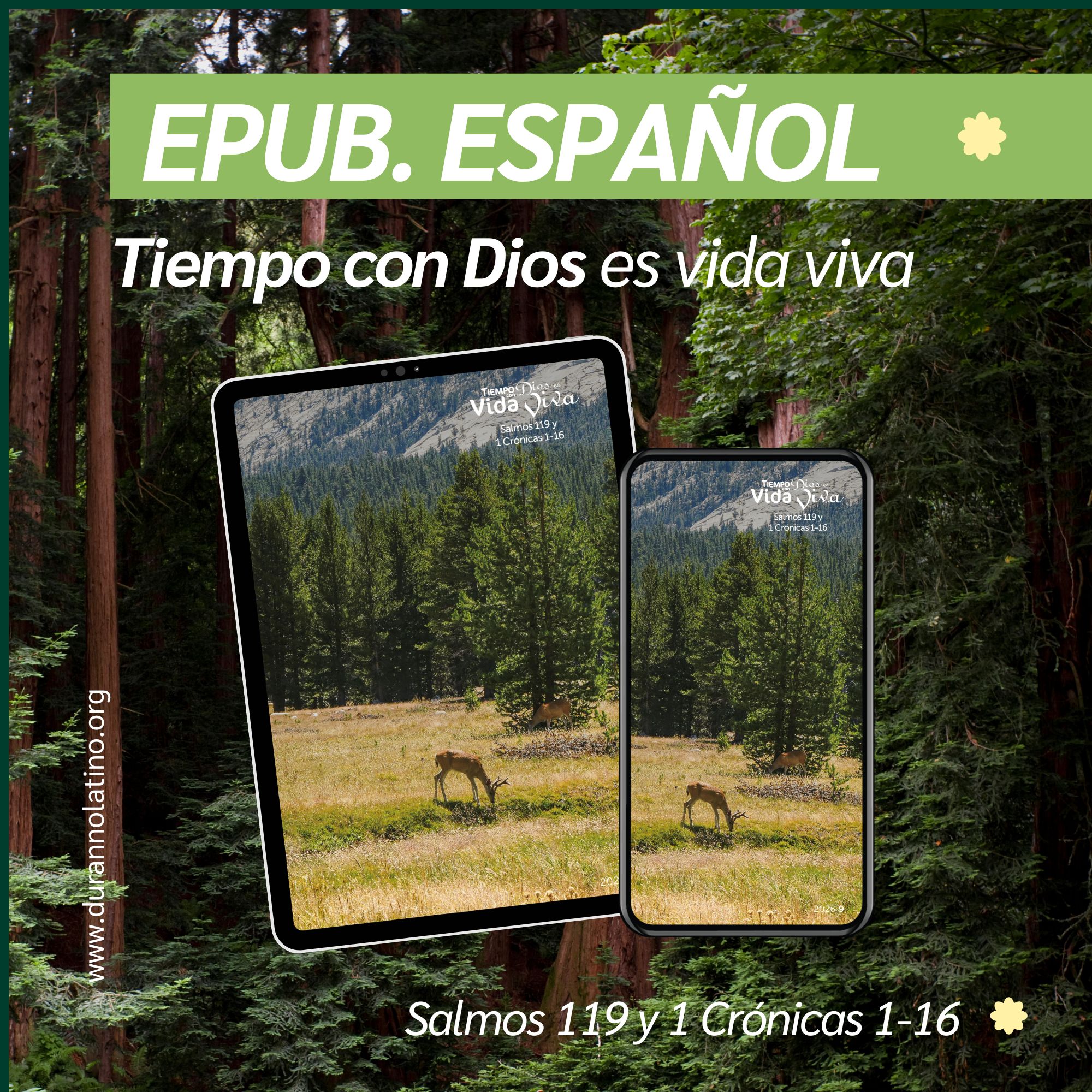 TcD Septiembre 2026 (EPUB)