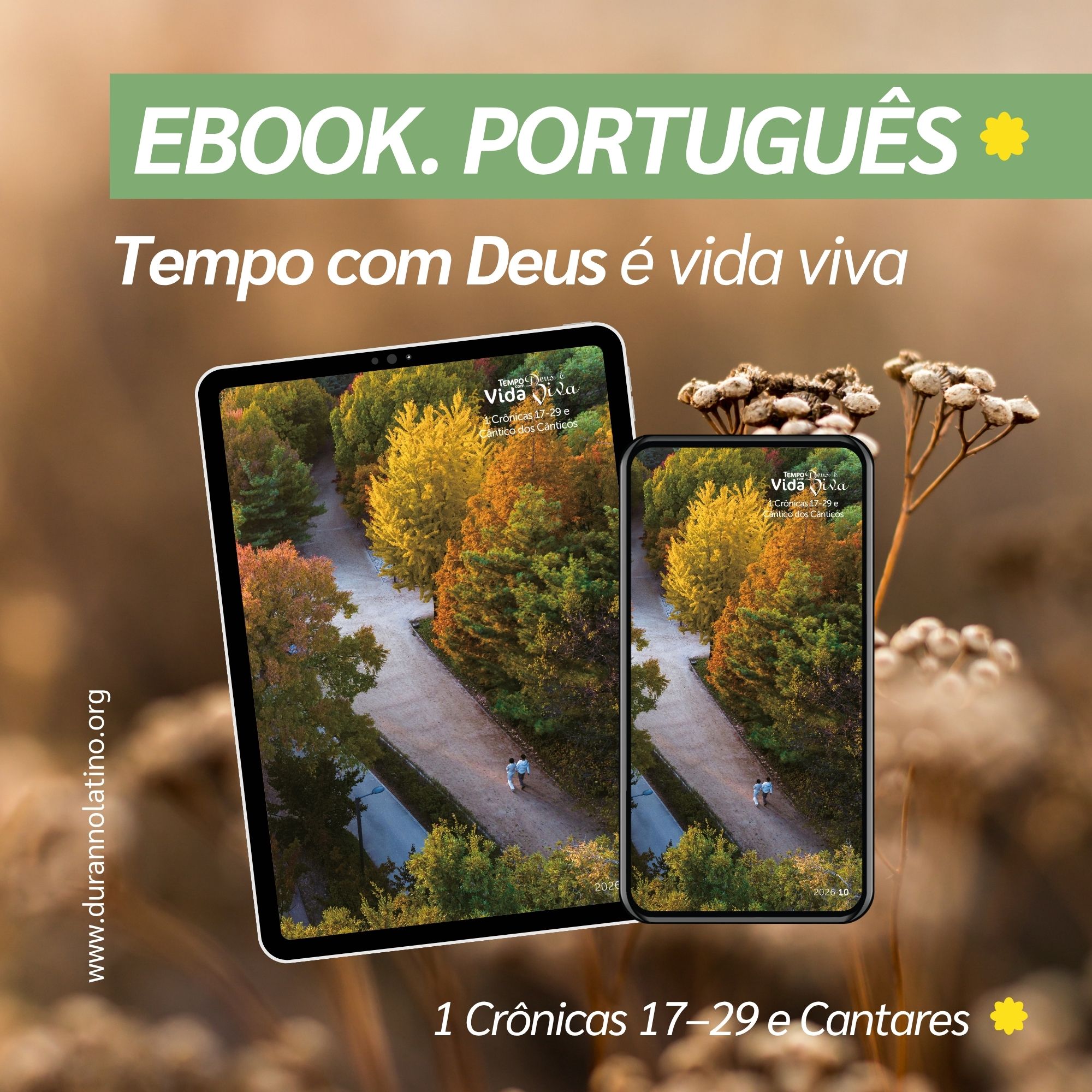 TcD Outubro EBOOK Portugués