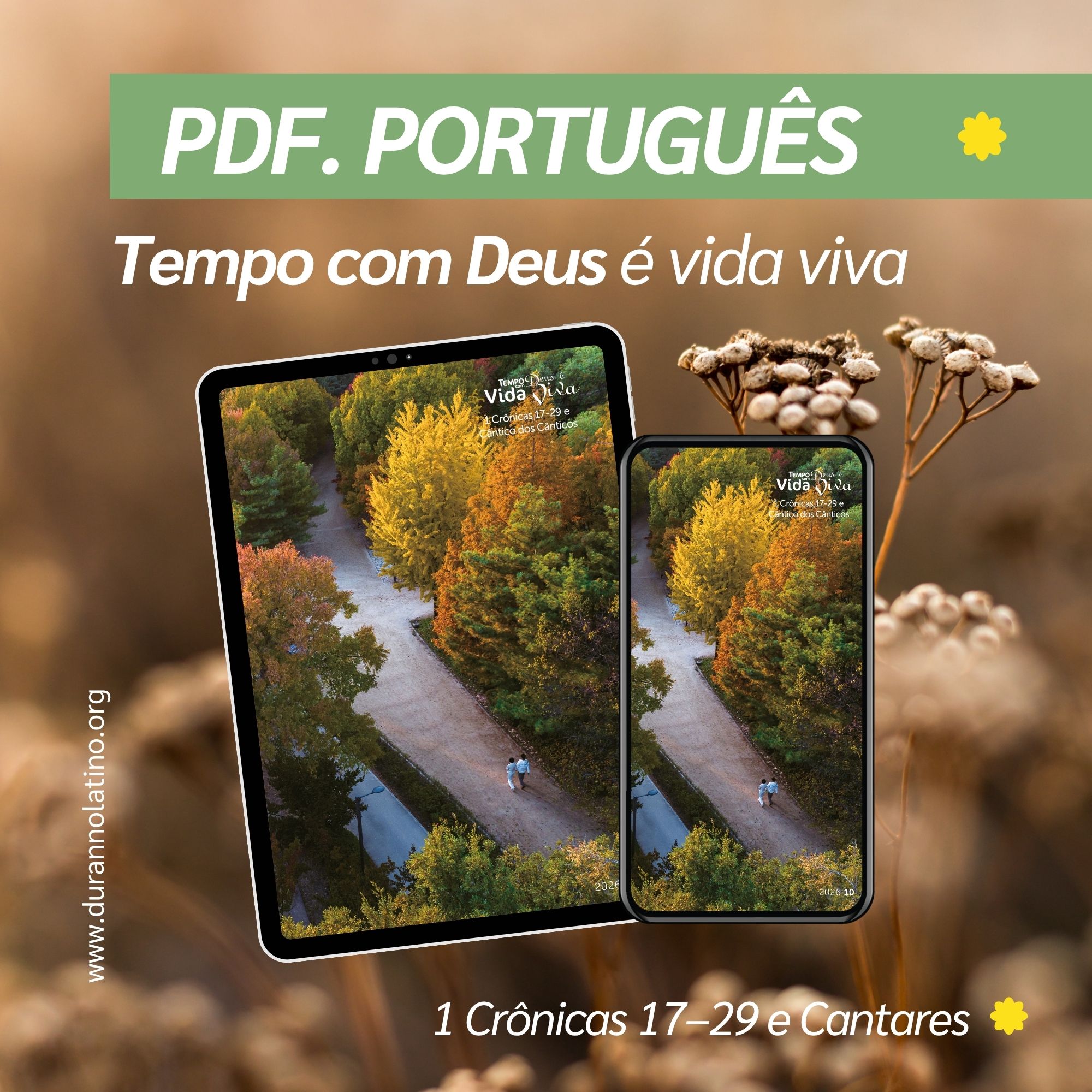 TcD Outubro 2026 (PDF)