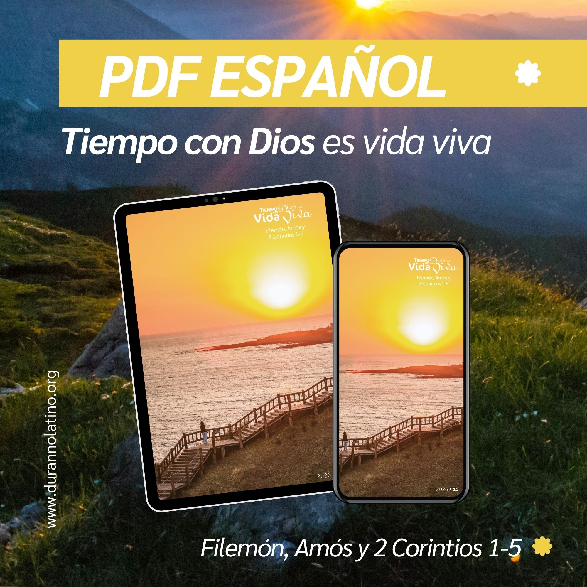 TcD Noviembre 2026 (PDF)